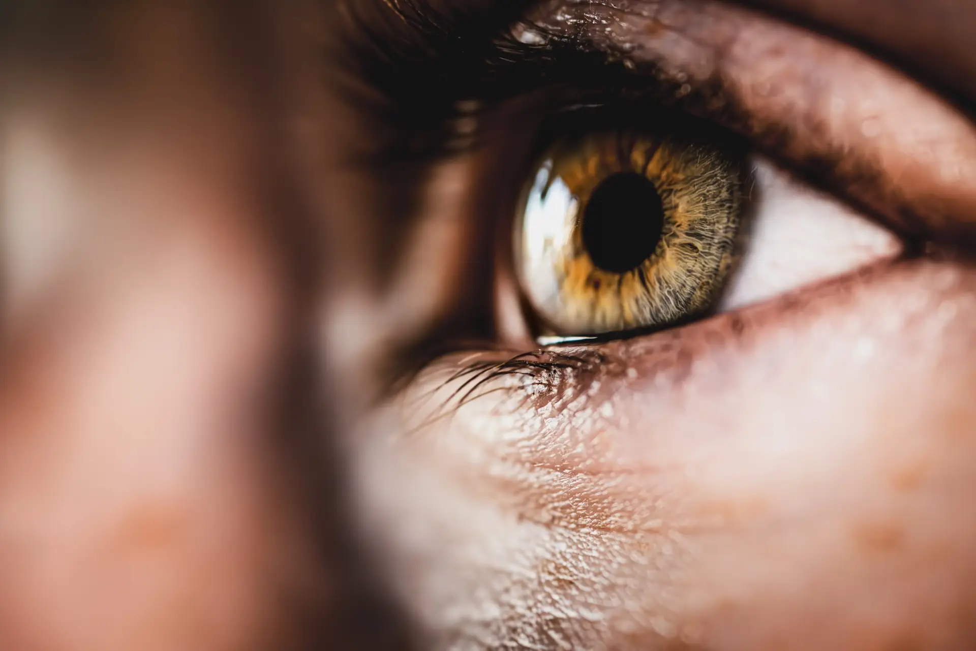Makroaufnahme eines Auges – Die faszinierende Welt im Detail